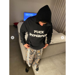 HOODIE *FUCK HYPERPOP*